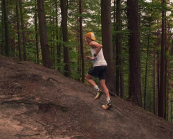 Trailrunner sprintet bergauf durch dichten grünen Wald - Höhenmeter Training im Trailrunning